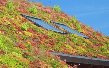 Brookthorpe living roof systems